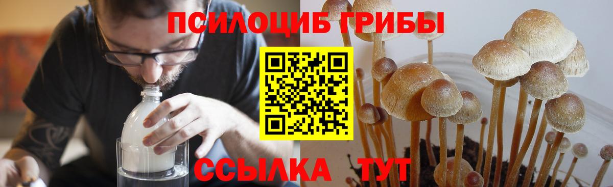 Ступино  Псилоцибиновые грибы мухоморы  Псилоцибиновые грибы Cubensis  Вход с VPN 